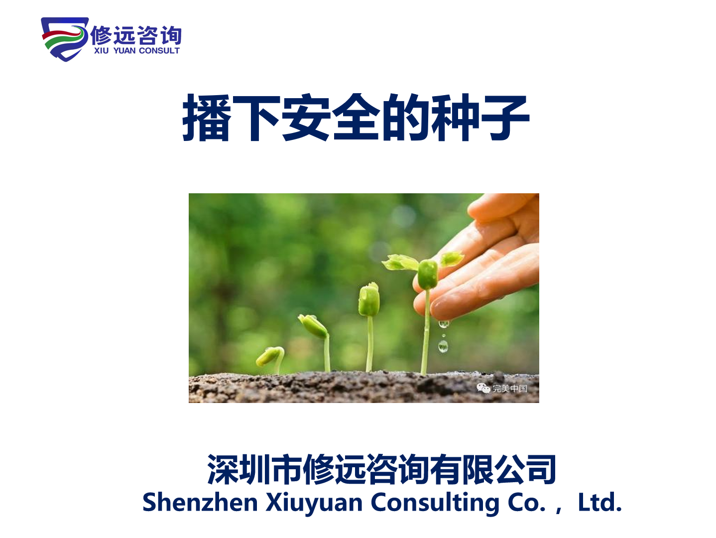 播下安全的种子